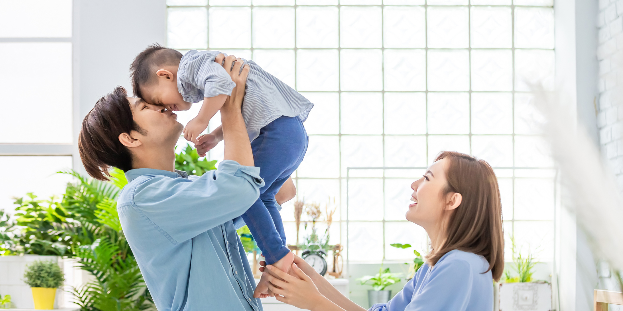 Benefits of Indoor Plants