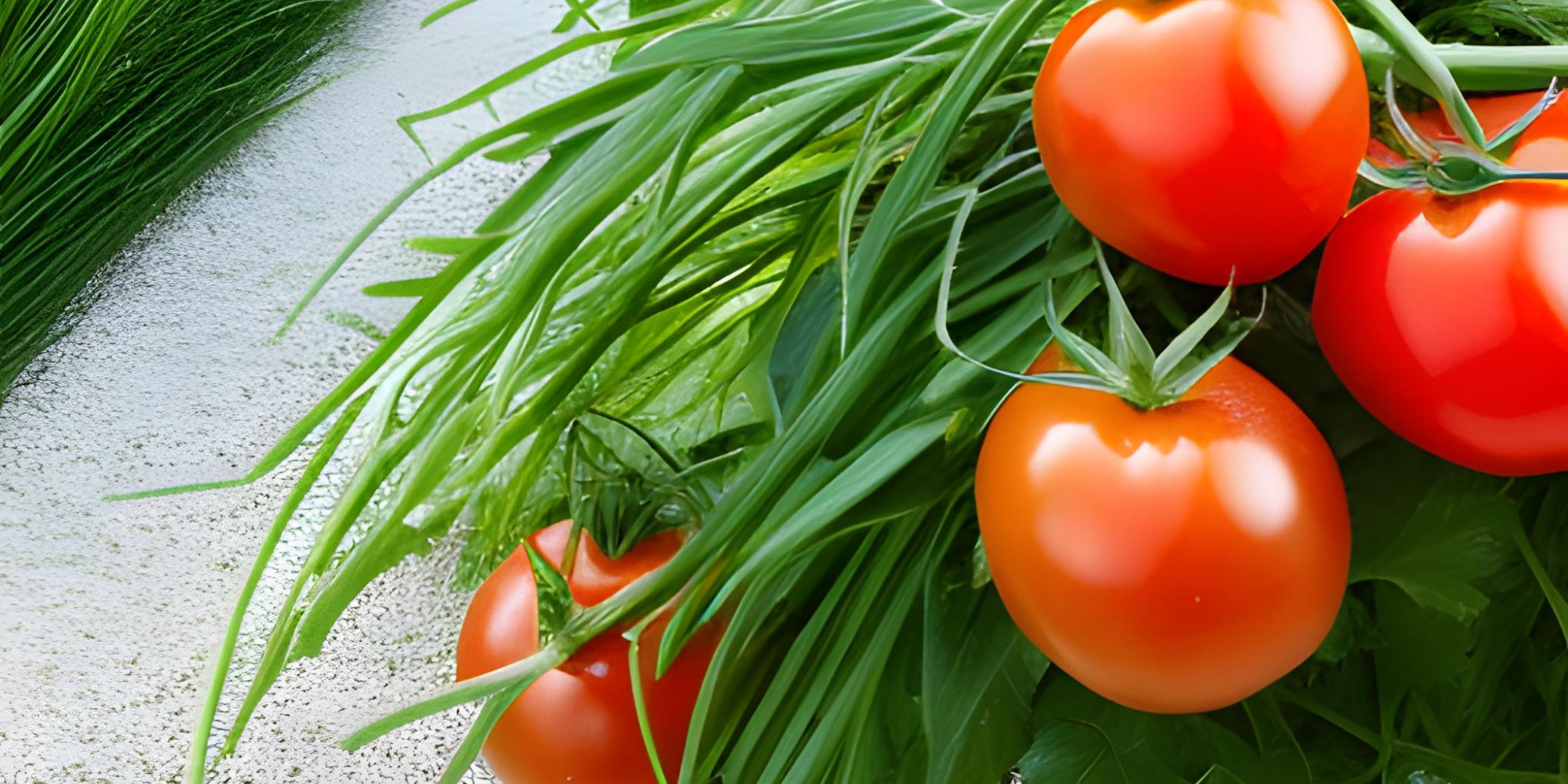 Companion Plants with tomatoes
