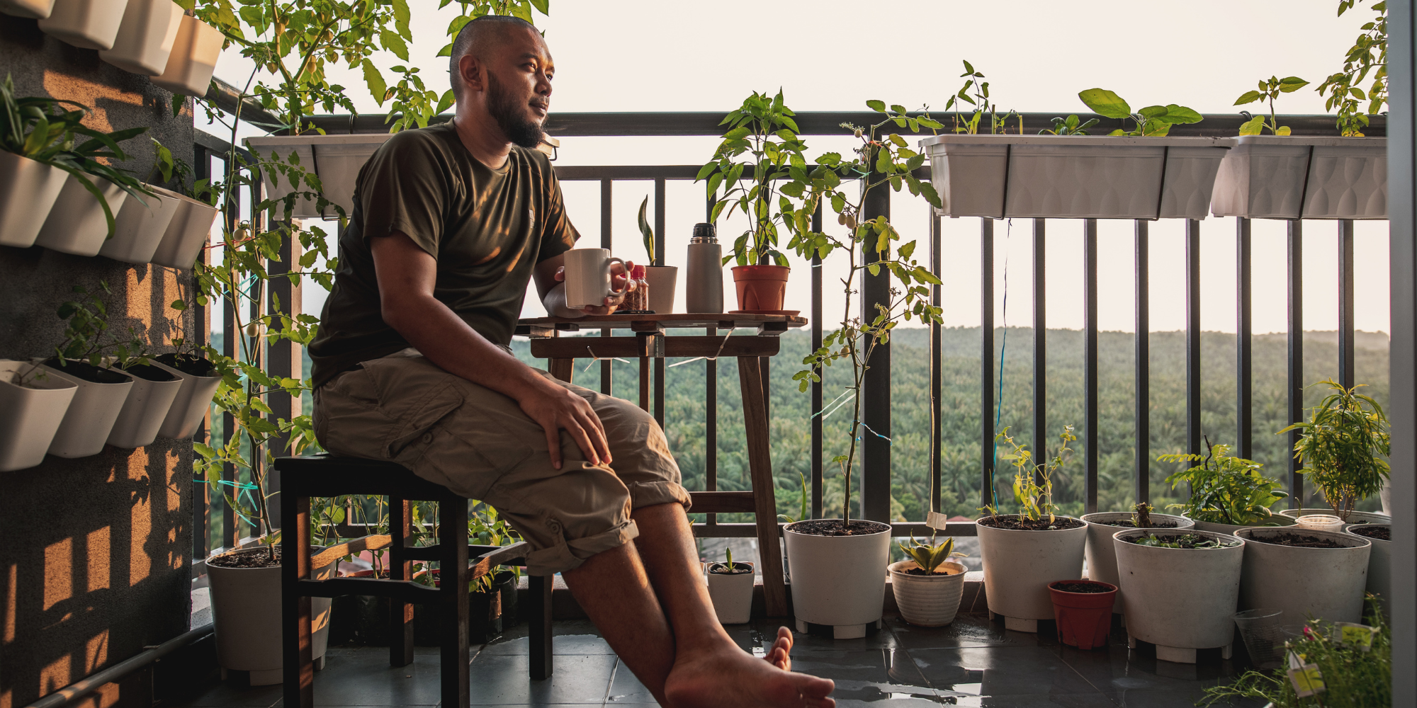 how to start an indoor vegetable garden