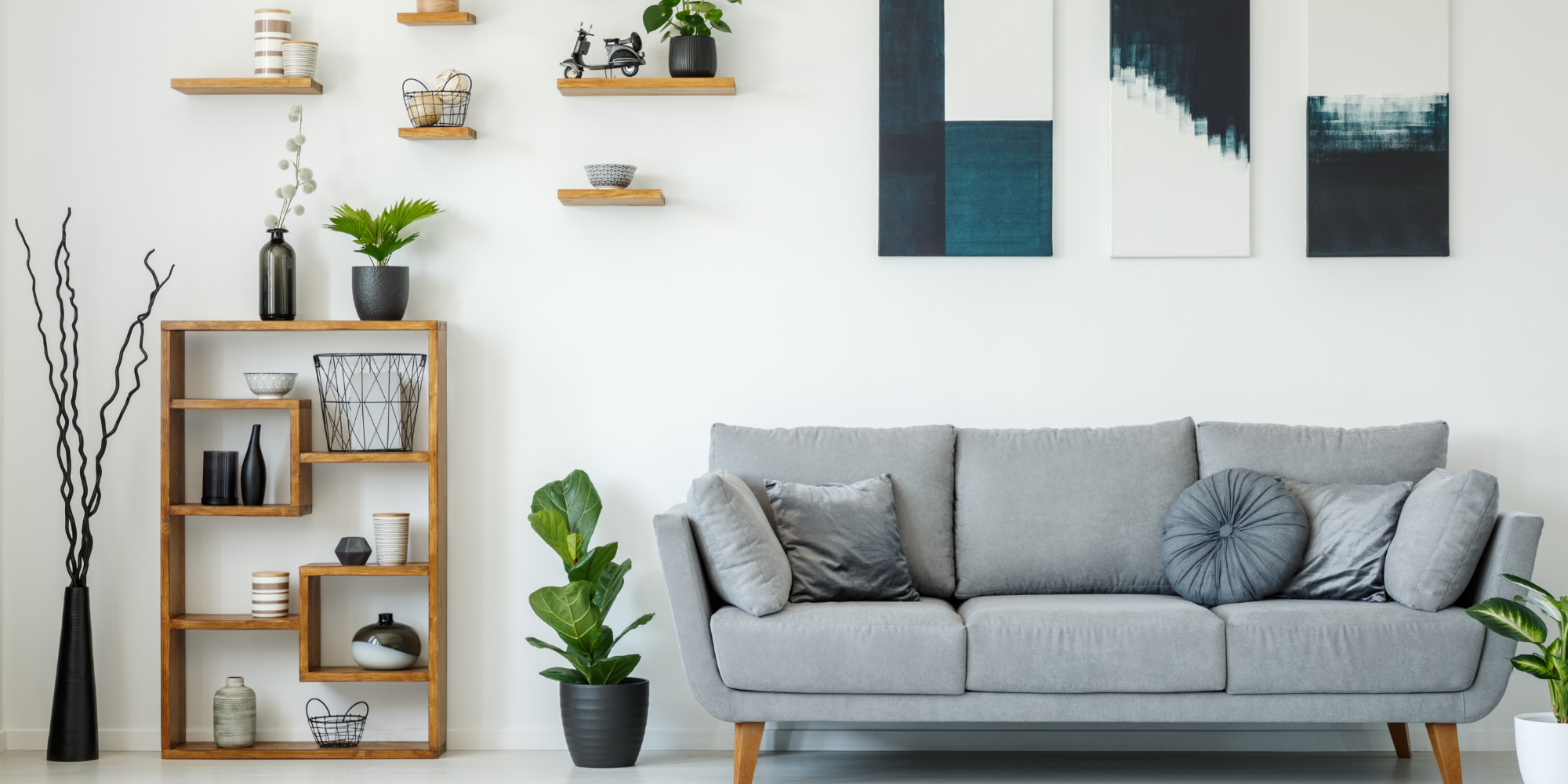 How to arrange plants in your living room