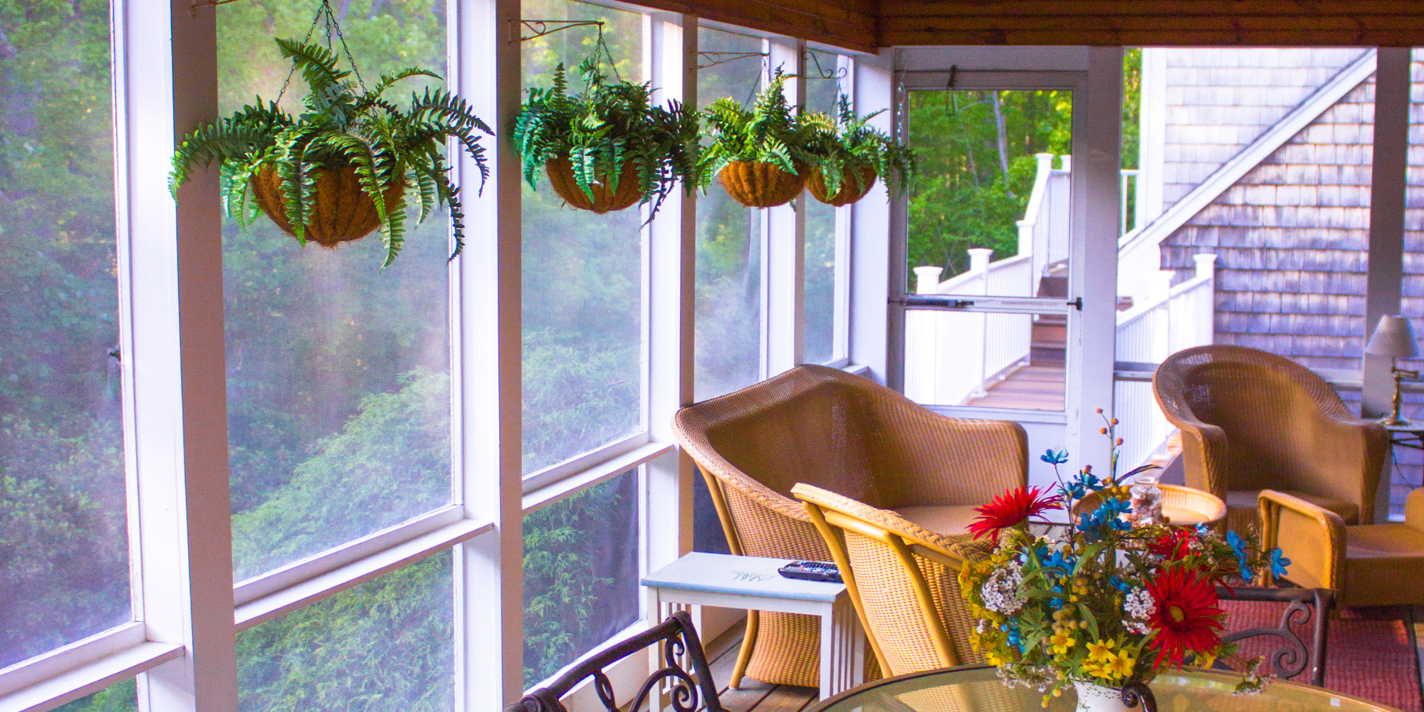 Benefits of Indoor Plants