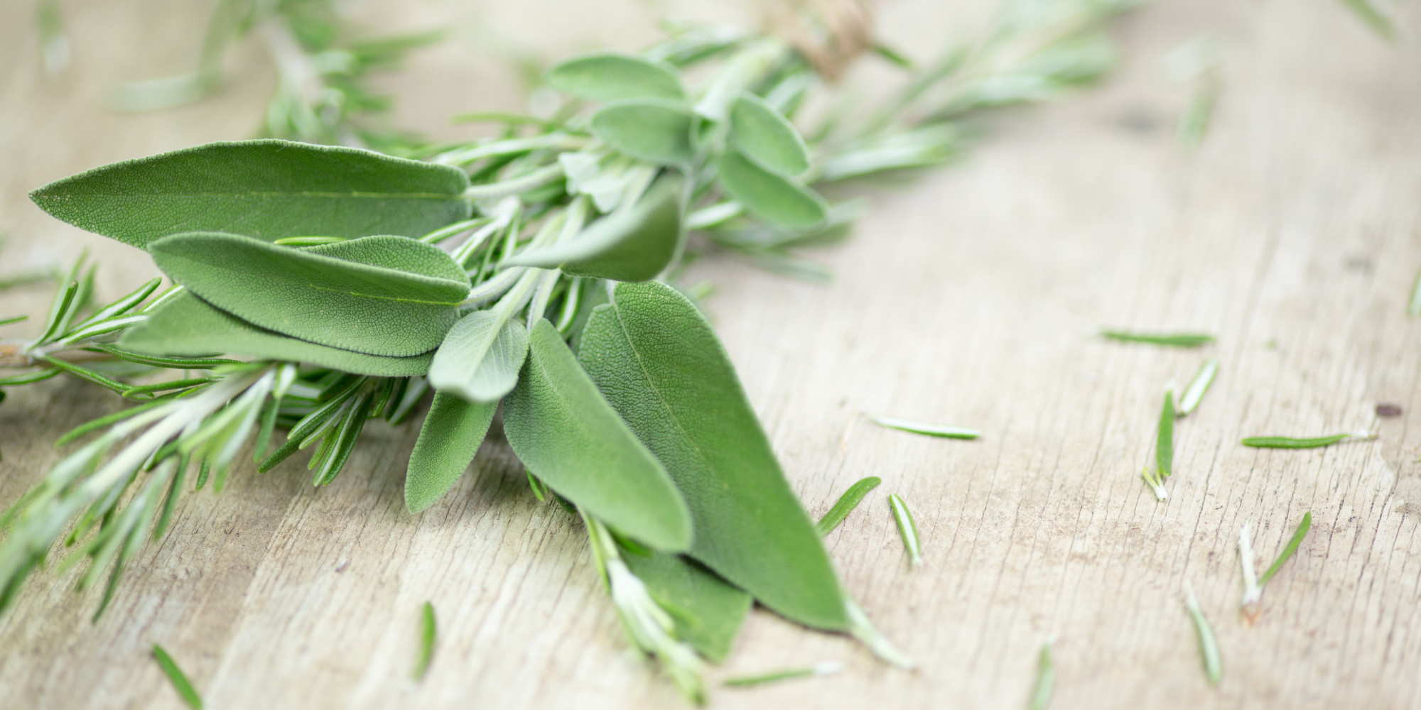 how to dry and store sage