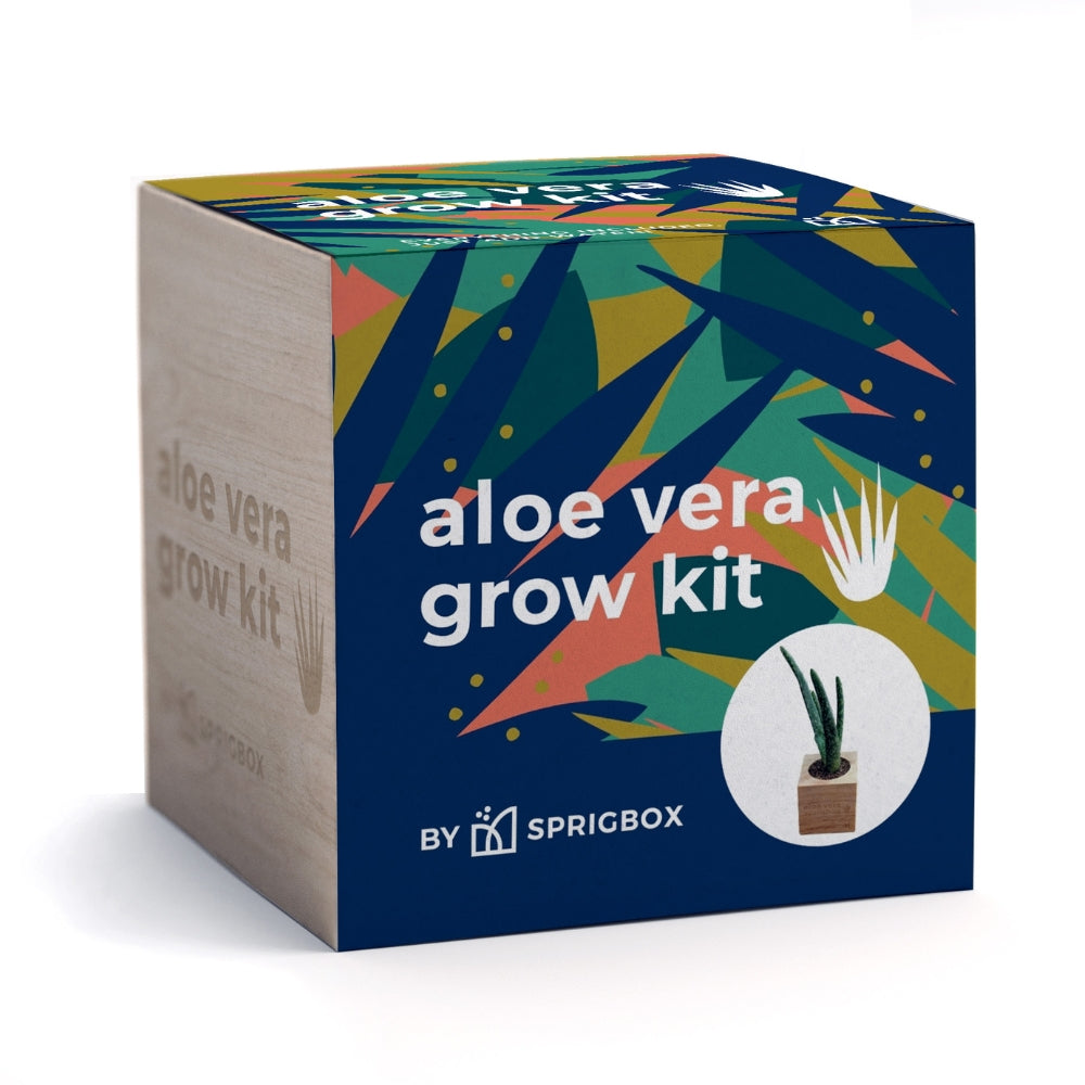 Grow Kit - Aloe Vera – Sprigbox