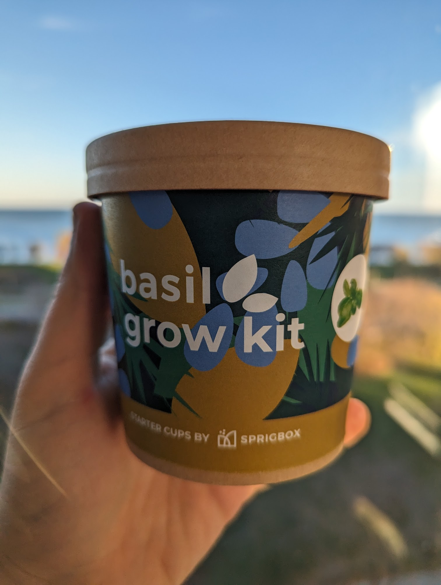 Basil Starter Cup Grow Kit Sprigbox