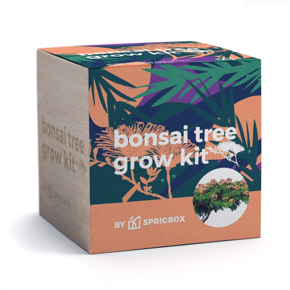 bonsai tree kit Grow Kit