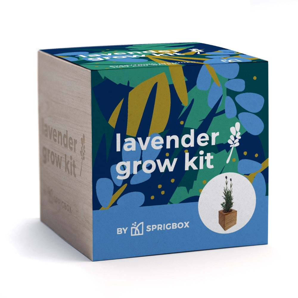 Grow Kit - Lavender – Sprigbox