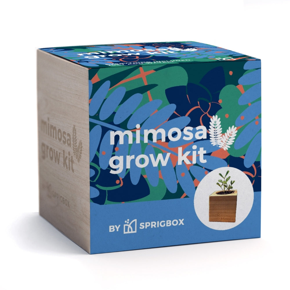 Grow Kit - Mimosa – Sprigbox