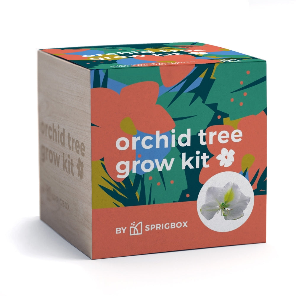 Grow Kit - Orchid Tree – Sprigbox