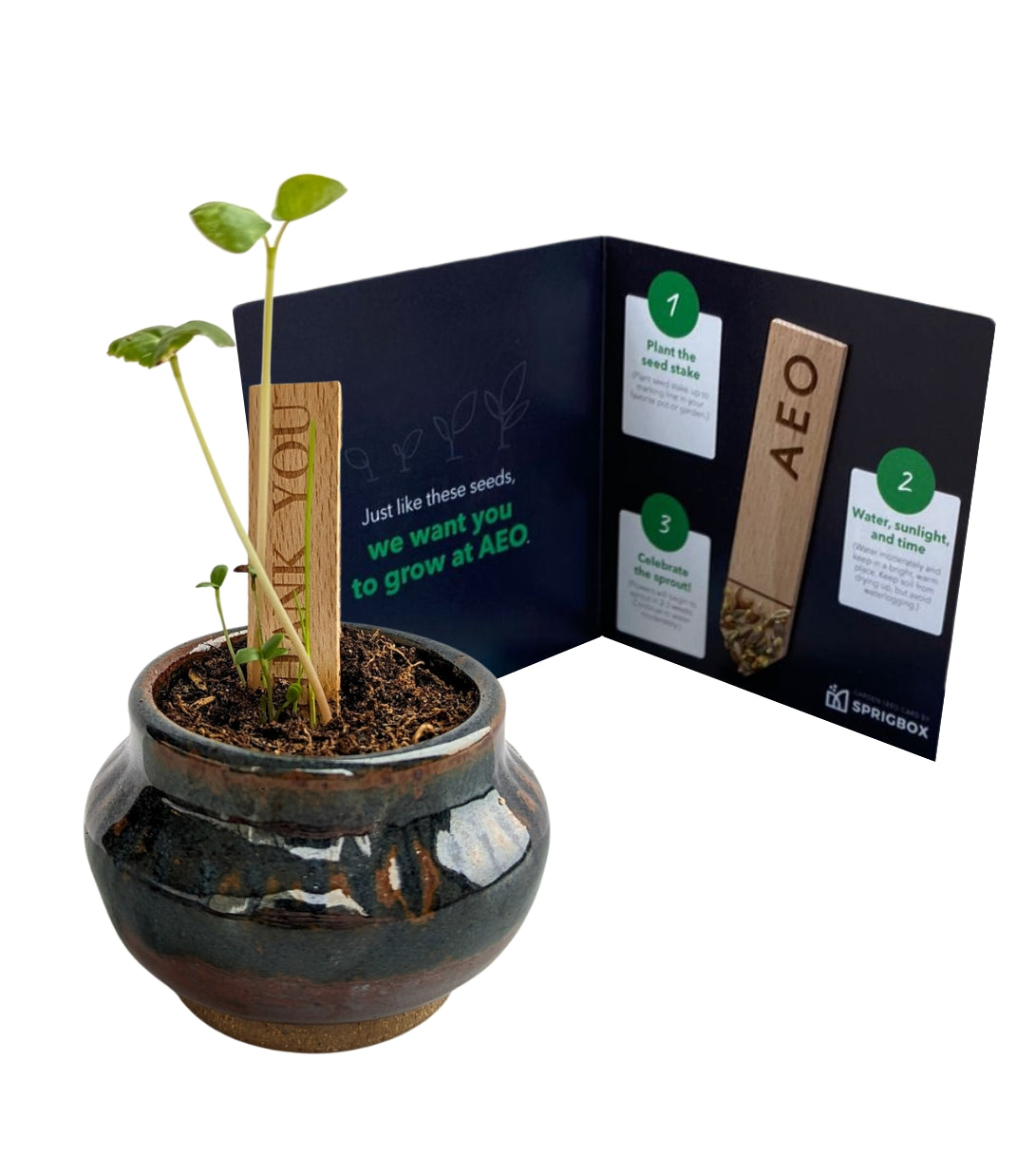 metal seed packet garden stakes Custom