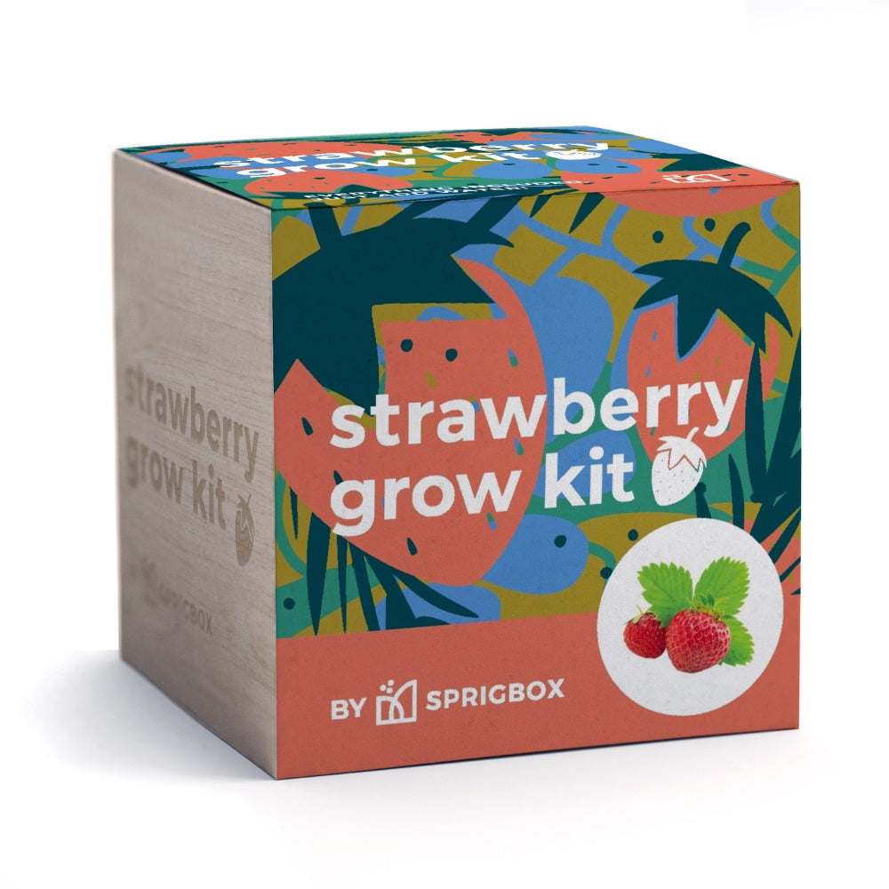 strawberry seed kit Grow Kit