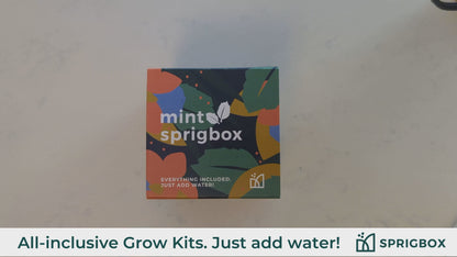 Grow Kit - Mint