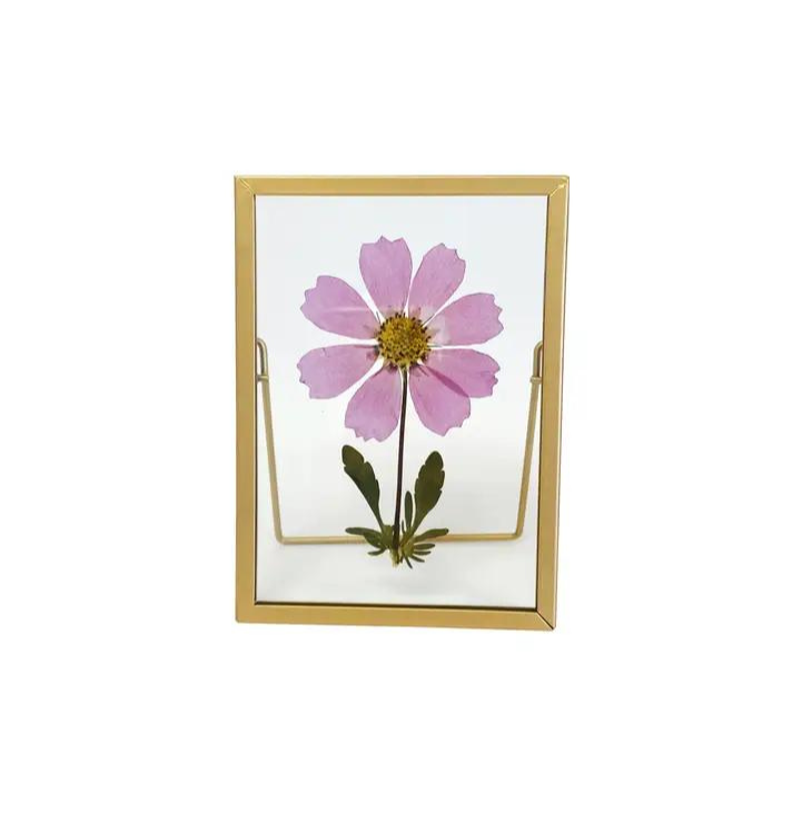 How to Frame Pressed Flowers