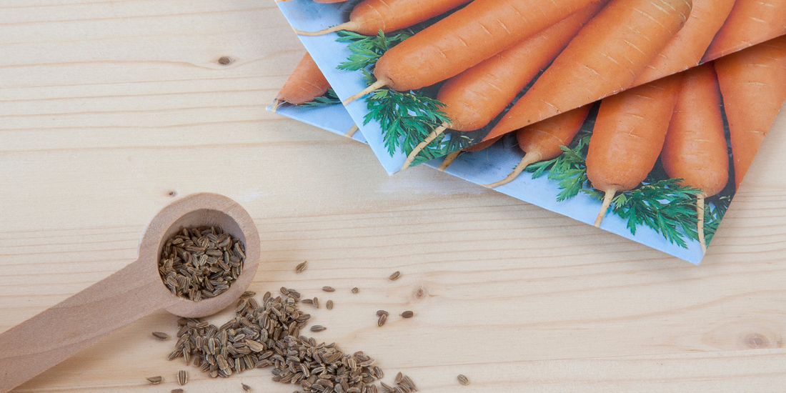 reasons to plant carrot seeds