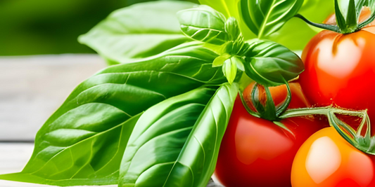 Tomatoes and Basil