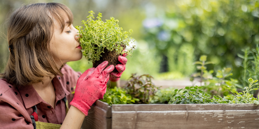 Gardening 101