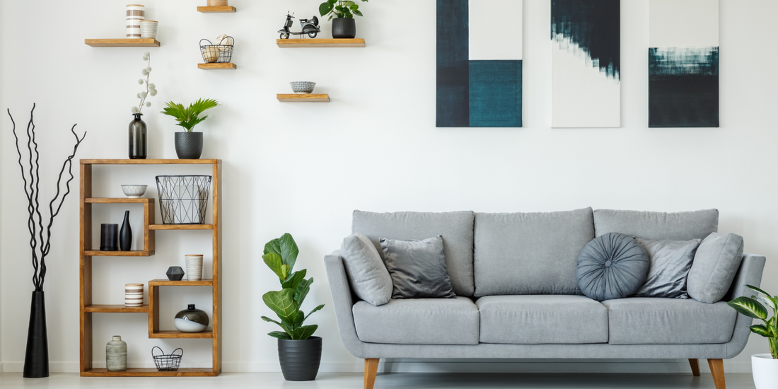 How to arrange plants in your living room