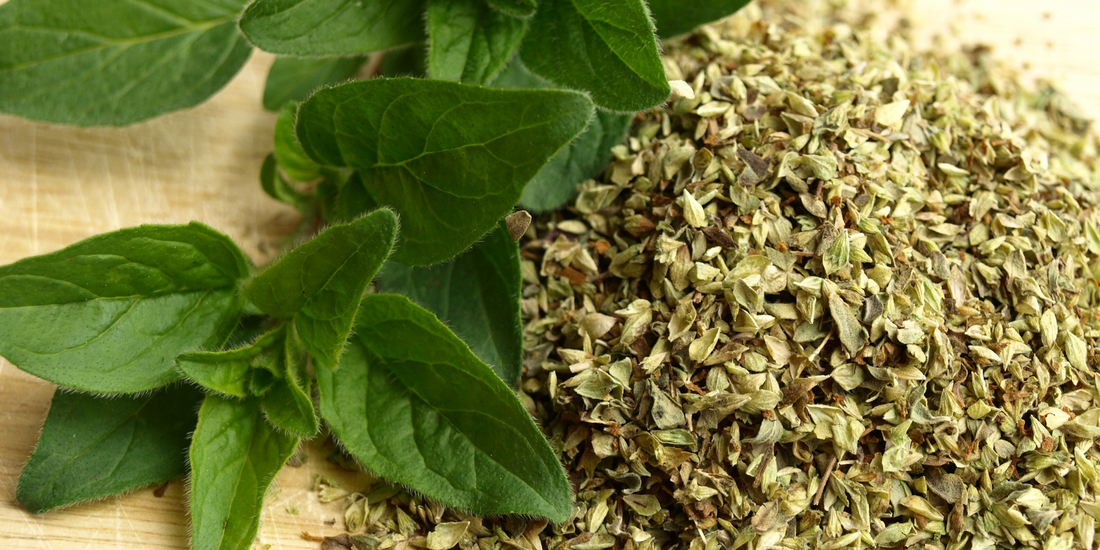 How to harvest and store oregano