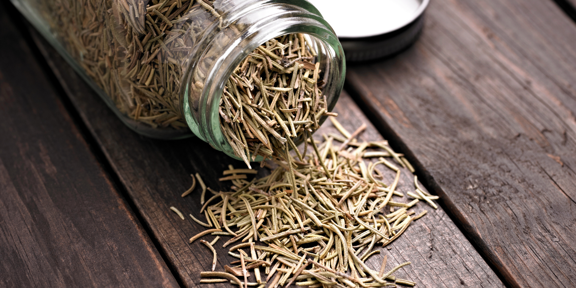 How to dry and store rosemary  Sprigbox