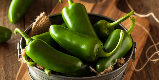how to grow jalapenos from seed