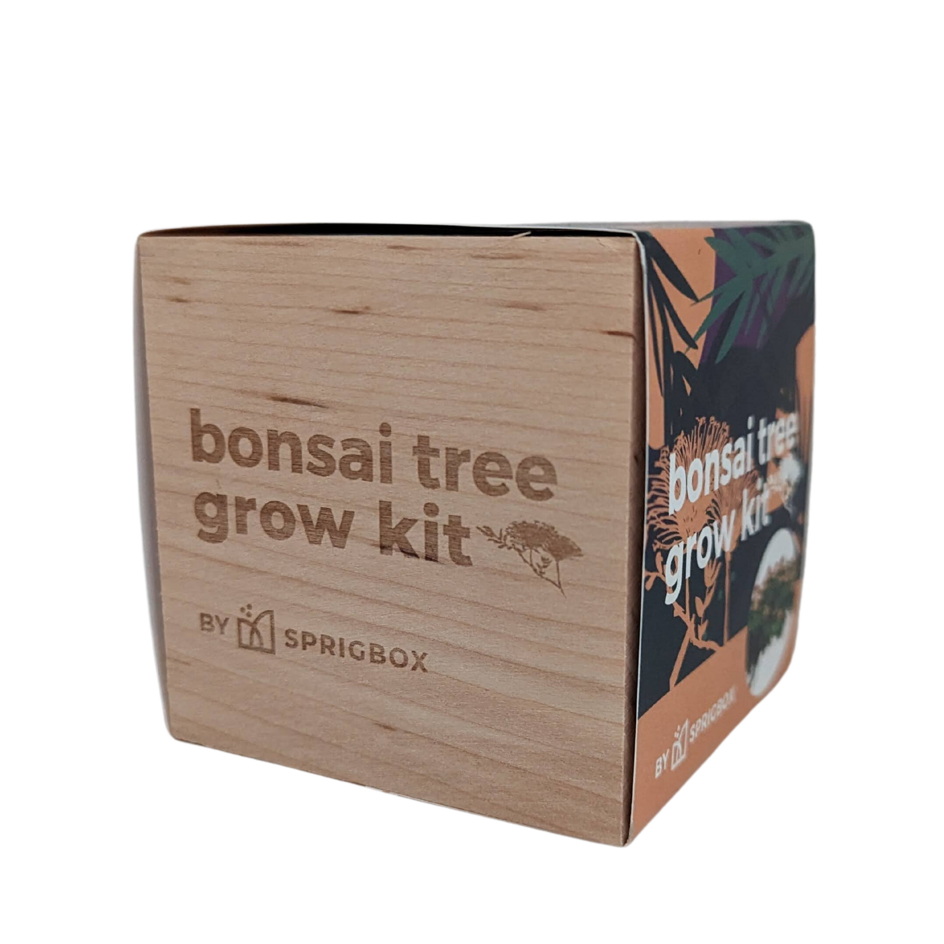 meakear bonsai tree growing kit Grow Kit
