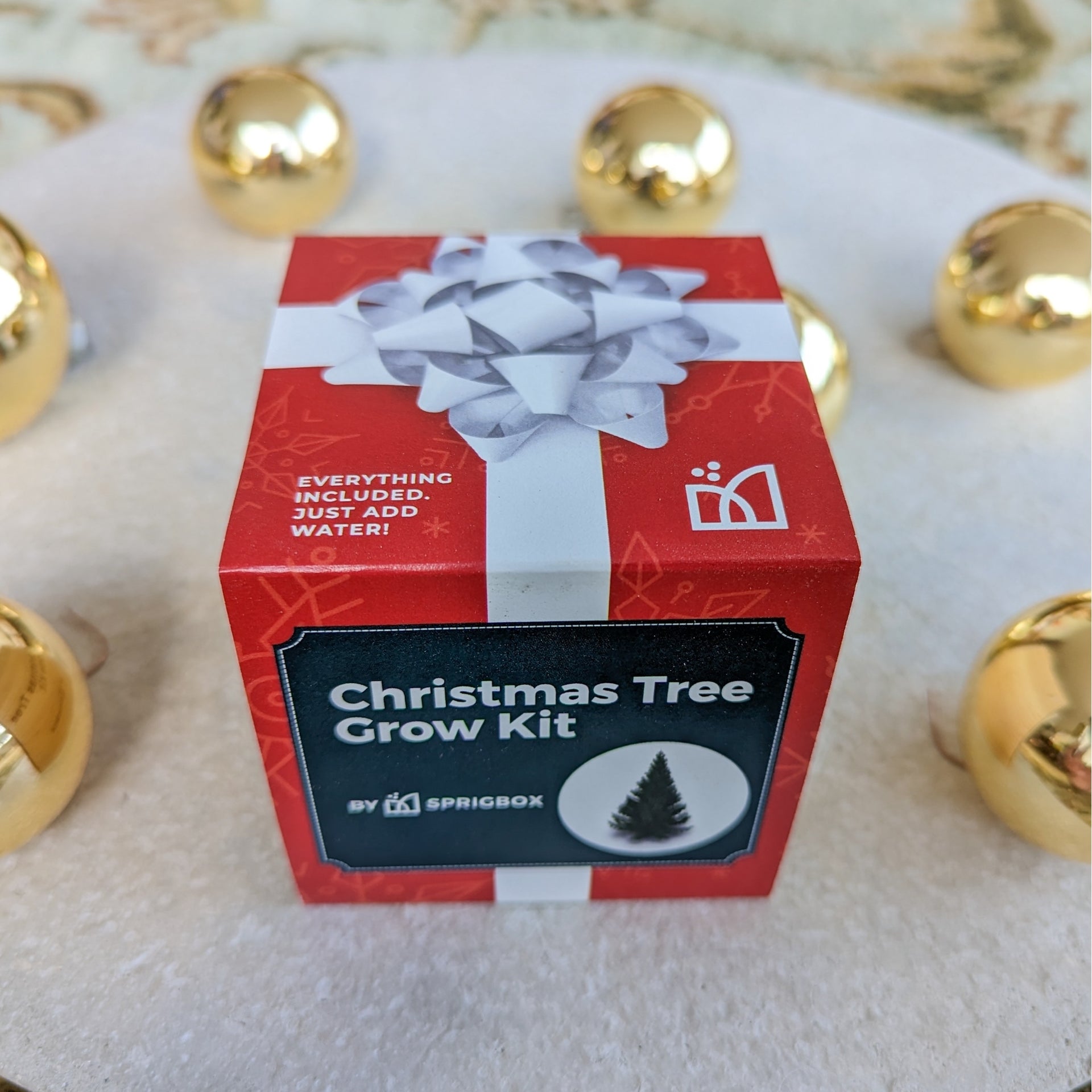 Christmas Tree-To-Be Spruce Grow Kit