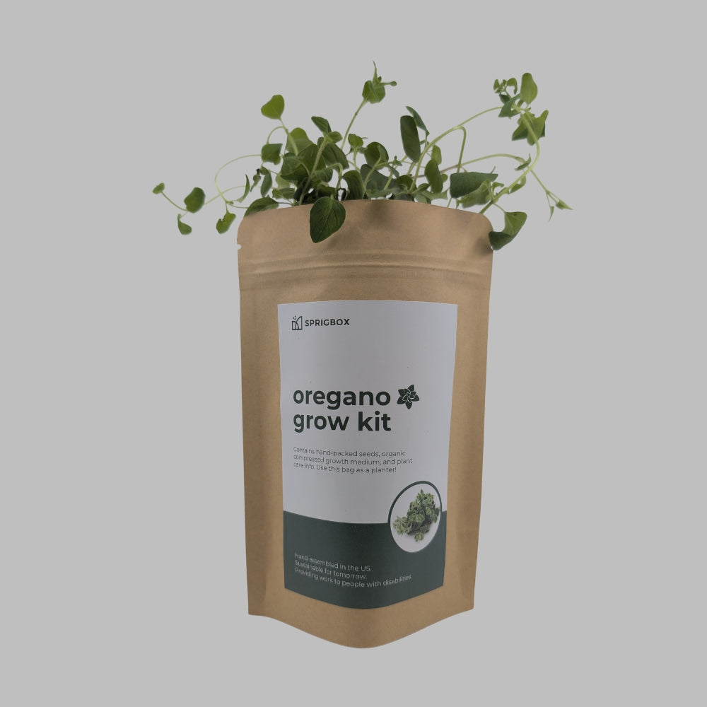 Ecobag Grow Kit | 18 Seed Types | Kraft Pouch Planter