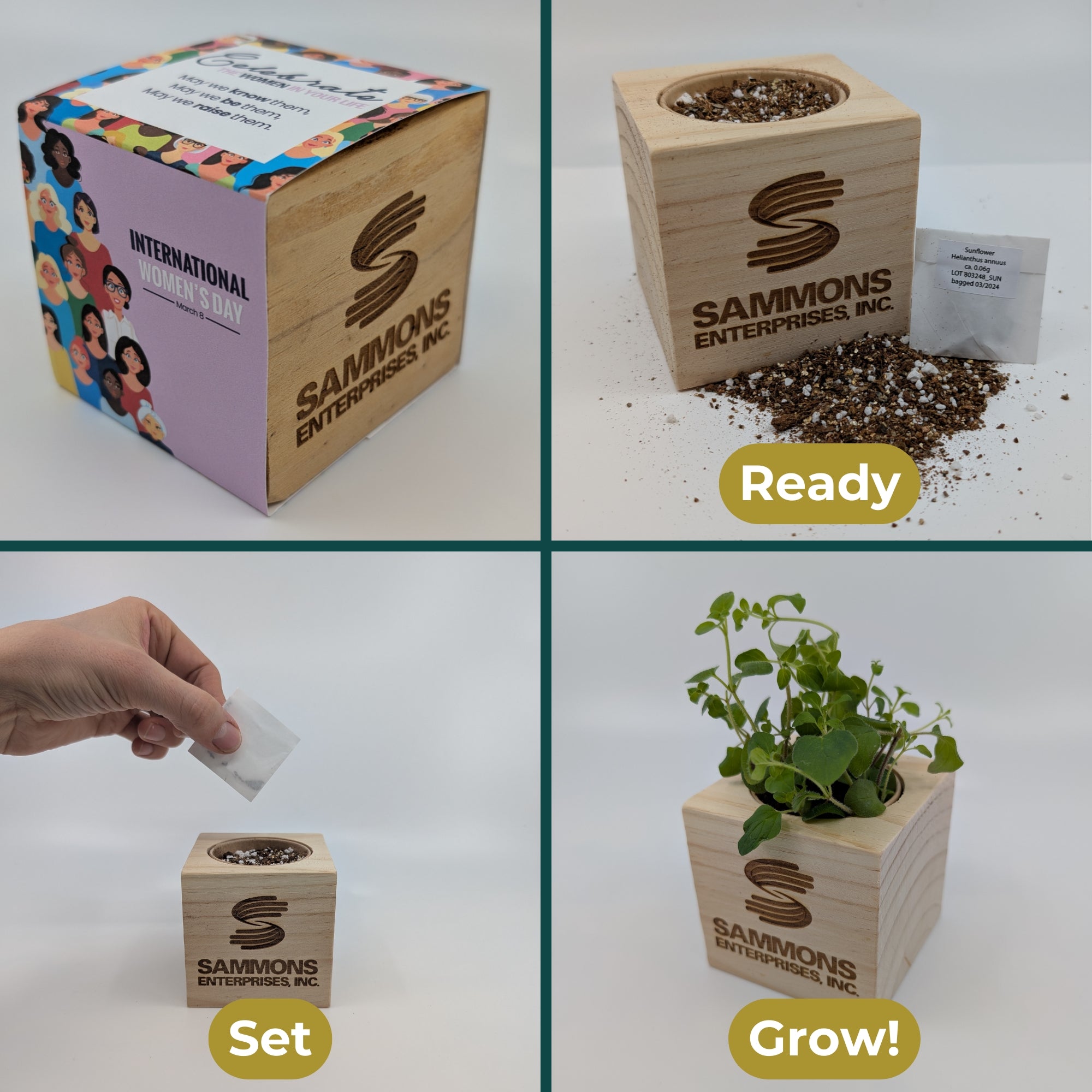 aloe vera plant kit Grow Kit