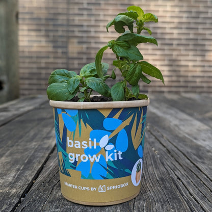 Basil Starter Cup Grow Kit