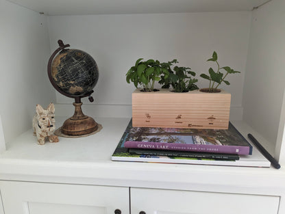 Starter Kit - Herb Garden - Sprigbox