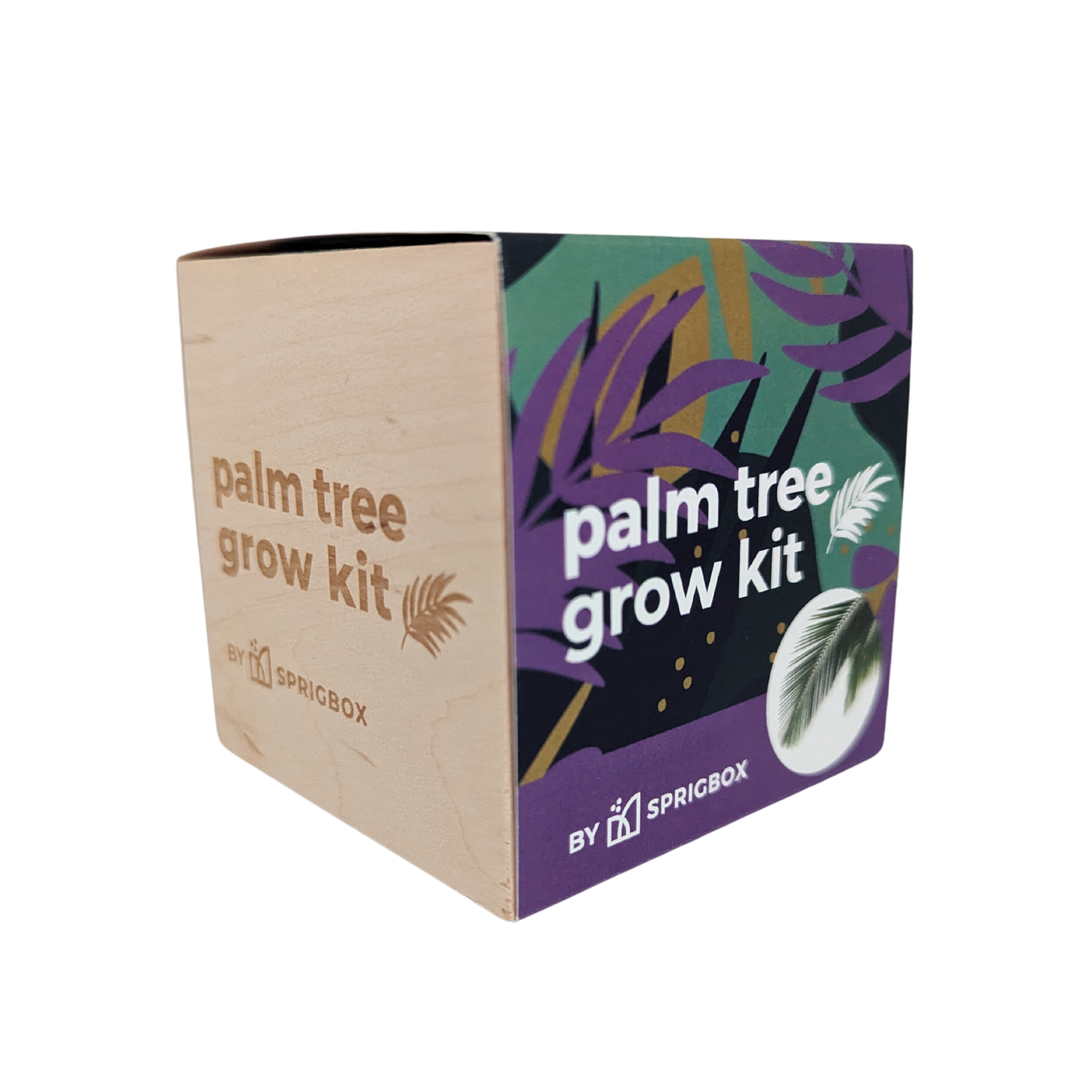 Grow Kit - Palm Tree - Sprigbox