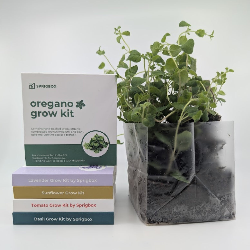Pocket Garden | 18 Seed Types | Compact All-Inclusive Grow Kit – Sprigbox