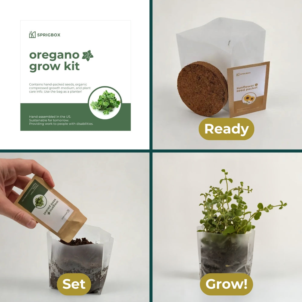 organic garden seed kit Ecobag Grow Kit | 18 Seed Types
