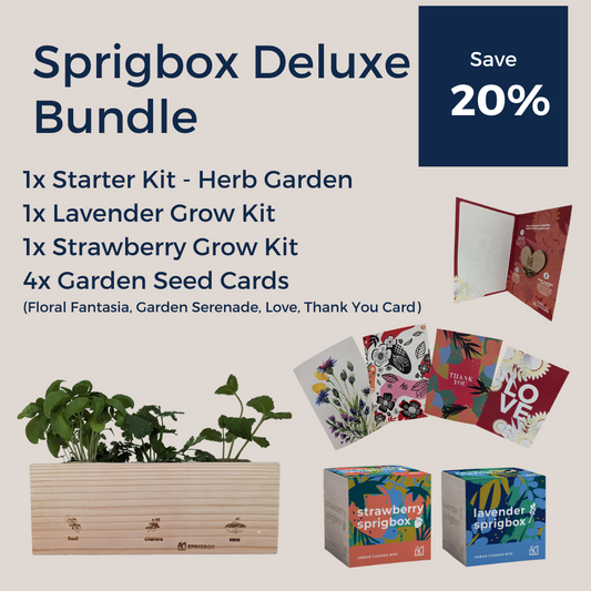 Sprigbox Deluxe Bundle