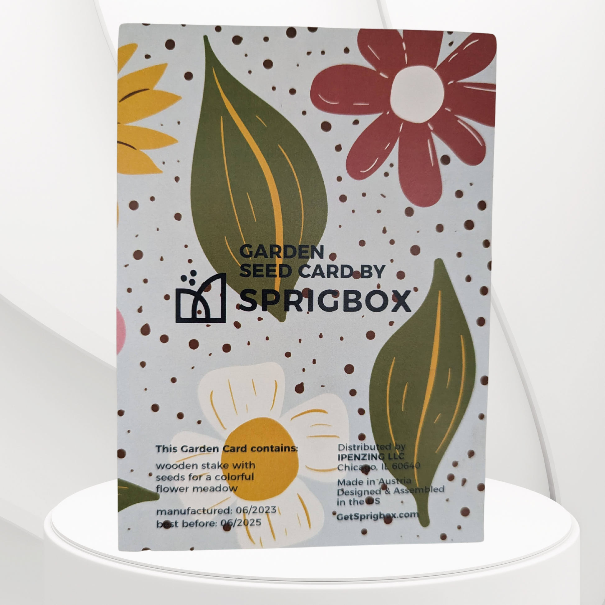 Garden Seed Card - Spring Sunshine - Sprigbox