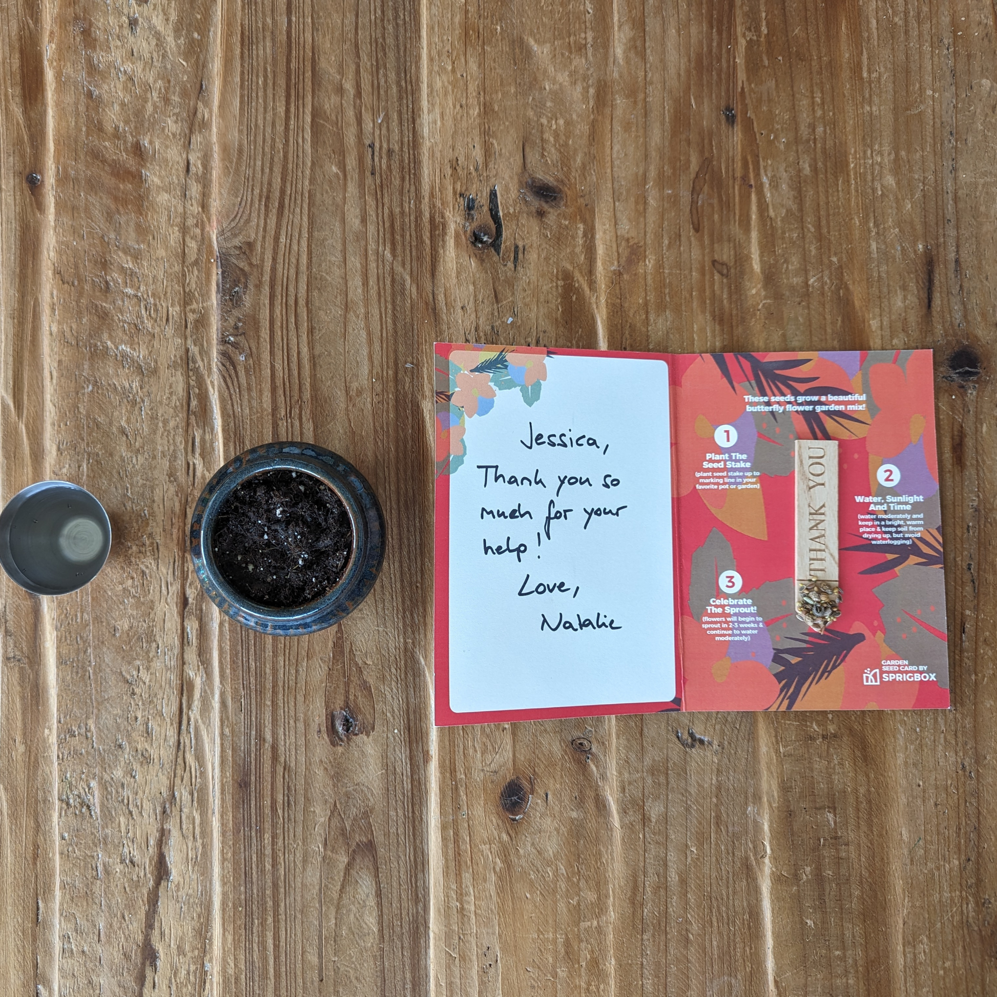 Garden Seed Card - Thank You - Sprigbox