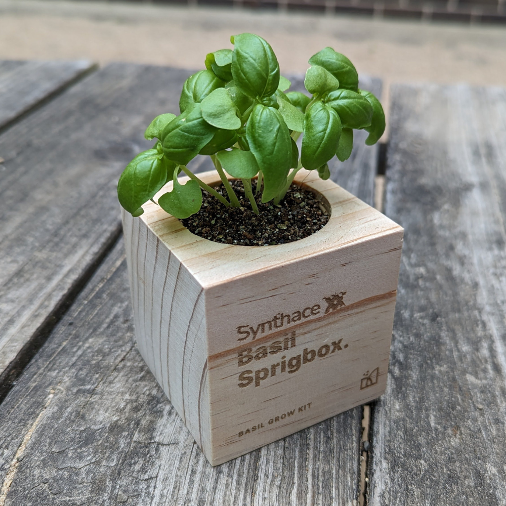 Custom Grow Kit – Sprigbox