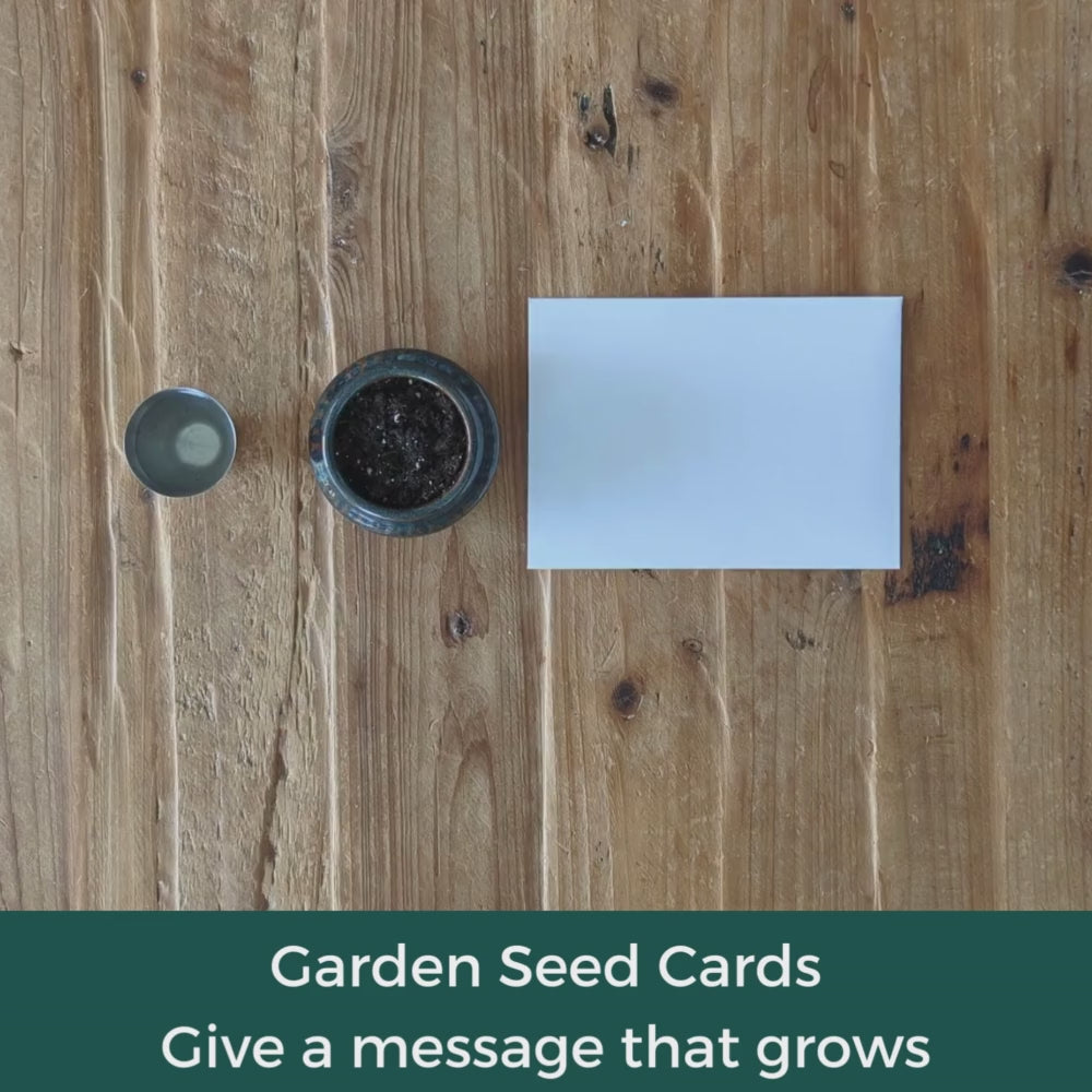 Load video: Garden Seed Card - Blooming Affection