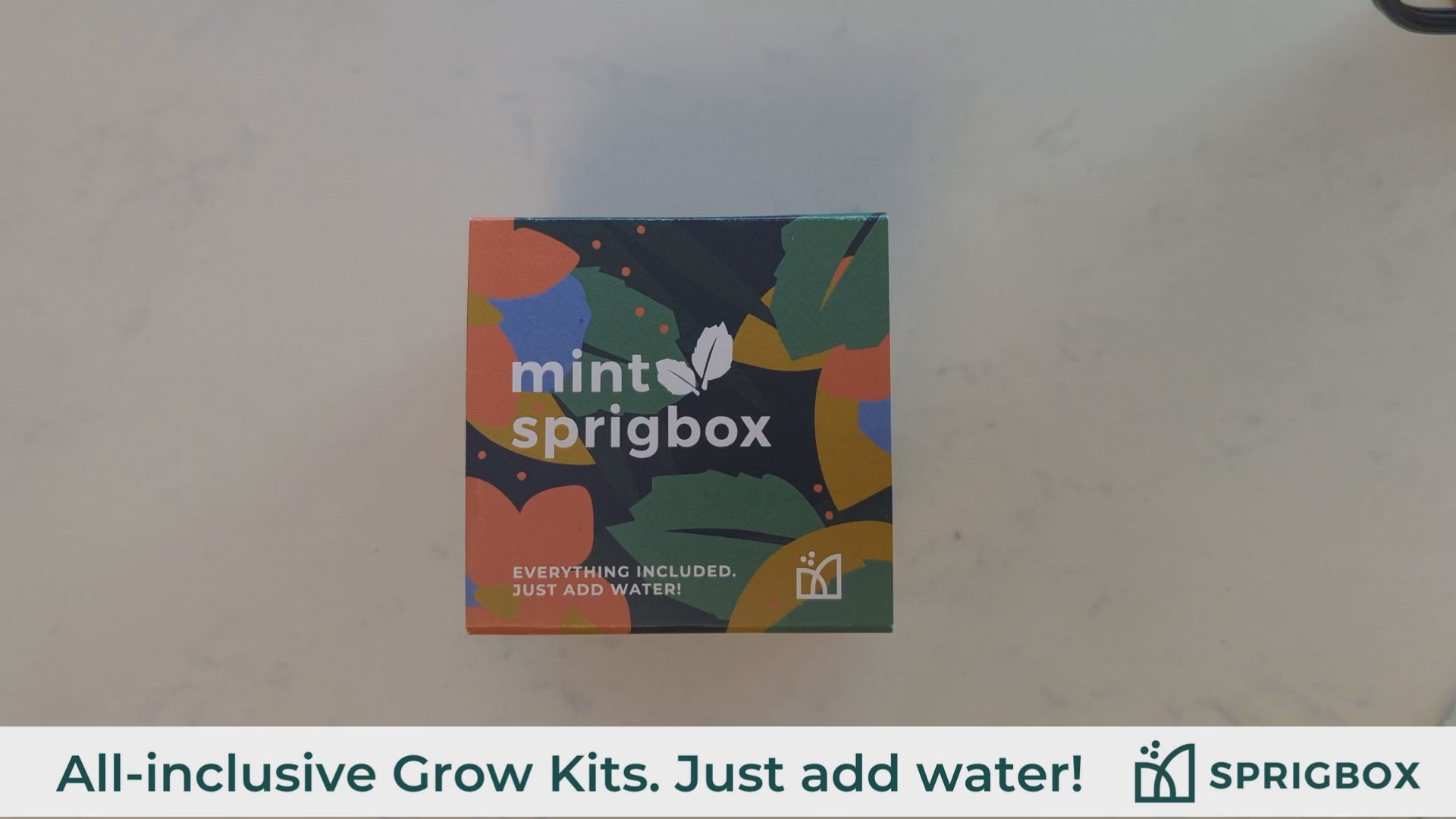Grow Kit - Mimosa – Sprigbox