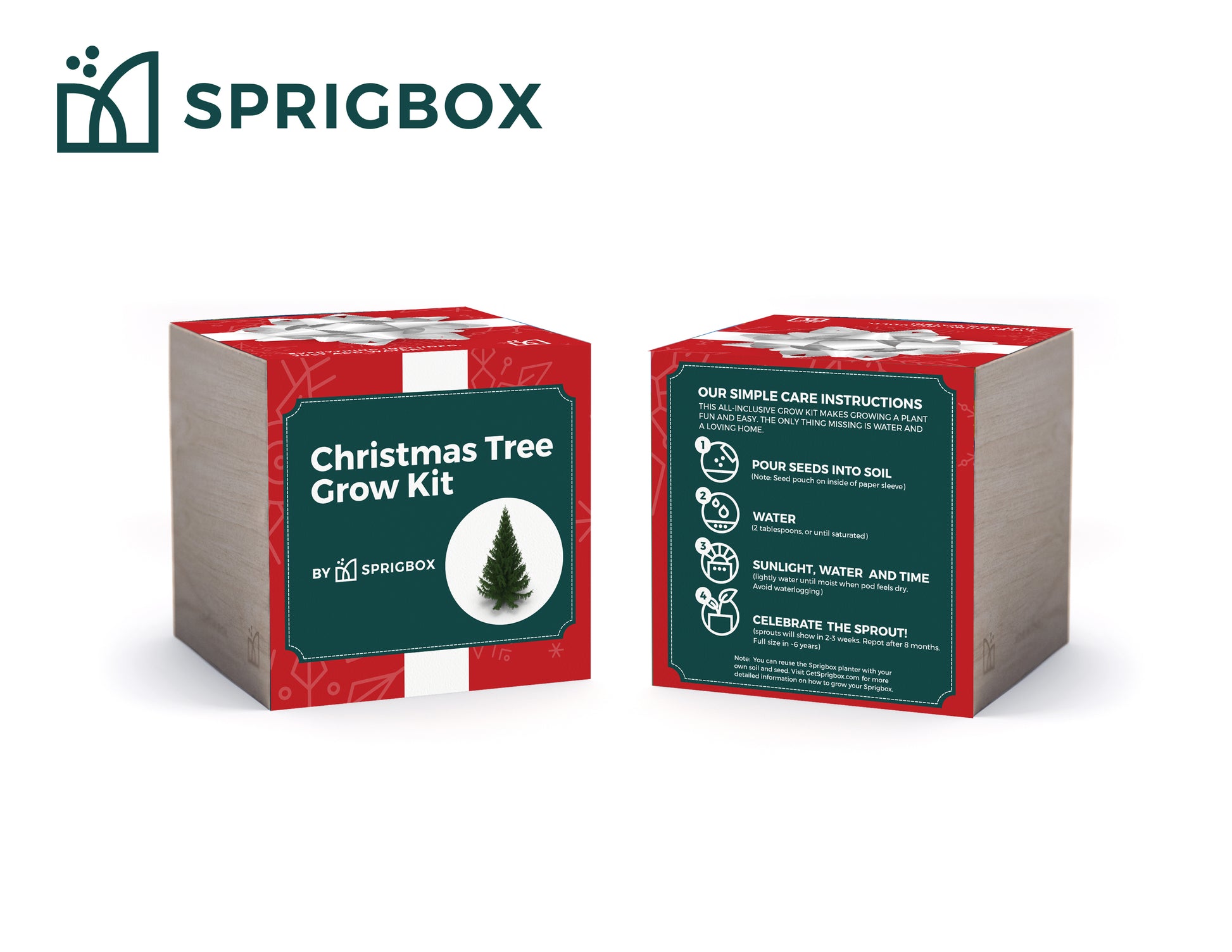 christmas tree seeds to plant Grow Kit - Christmas Tree