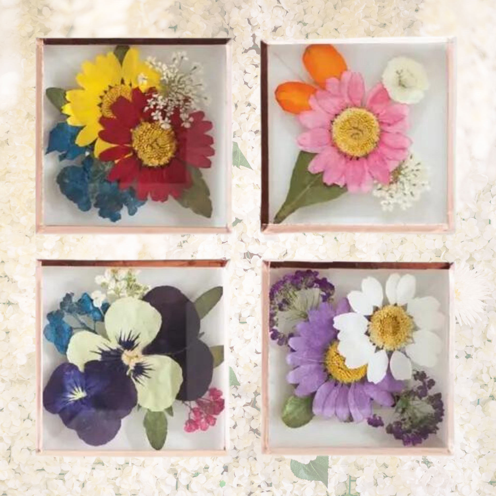 Ganz Set of 6 Glass Magnets 3 Modern Floral &3 Messages Be Kind Be Happy Be  Free