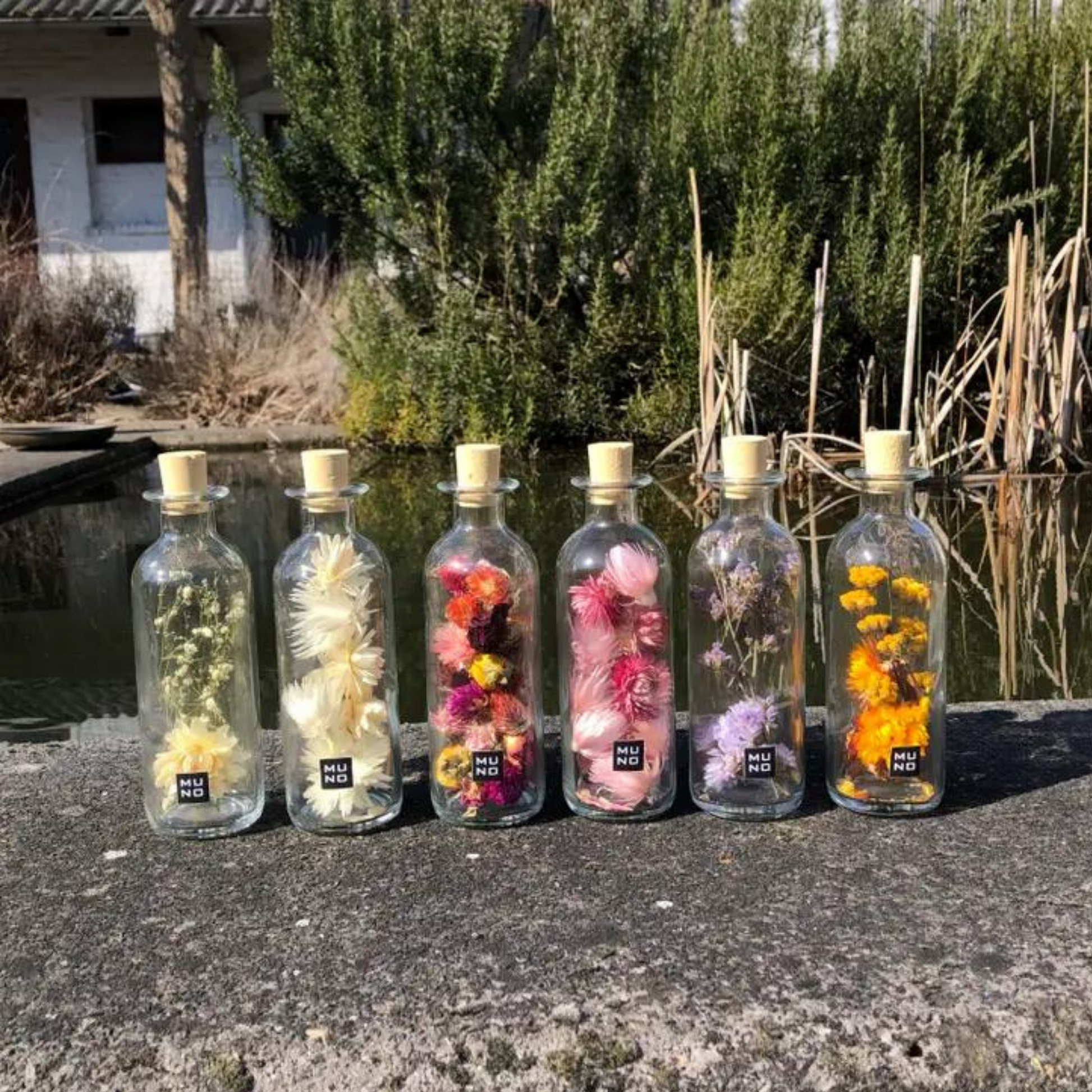 Dried Flowers - Unique Decorative Bottle - Sprigbox