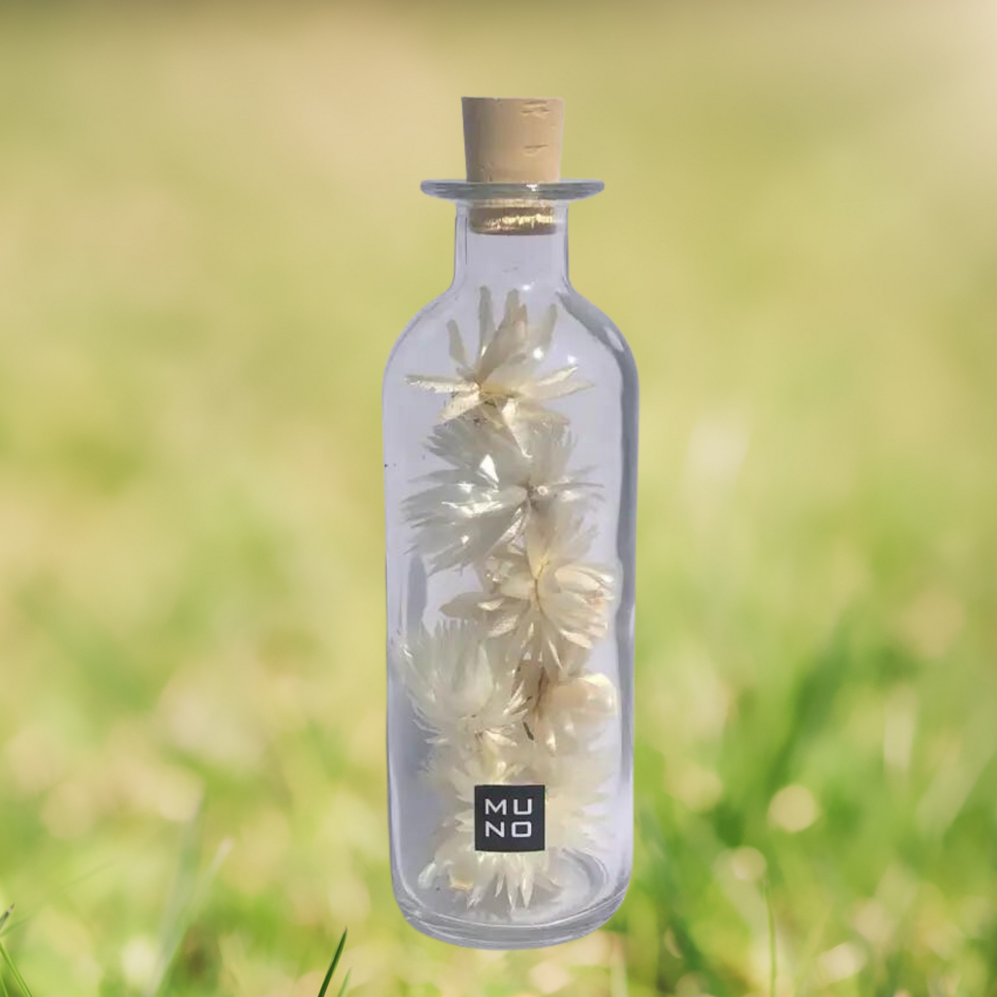 Dried Flowers - Unique Decorative Bottle - Sprigbox