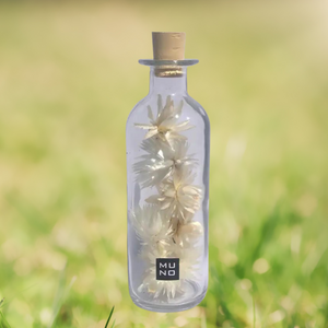 Dried Flowers - Unique Decorative Bottle