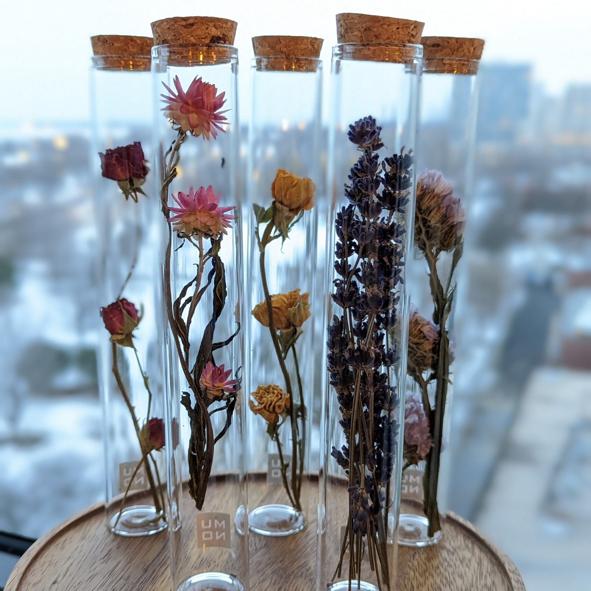 Dried Flowers - Unique Decorative Tube Large - Sprigbox