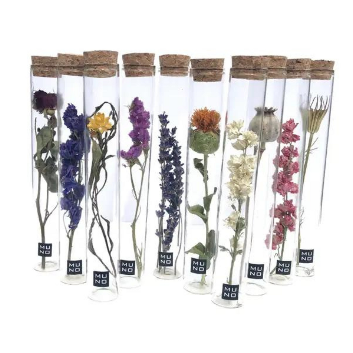 Dried Flowers - Unique Decorative Tube Large - Sprigbox
