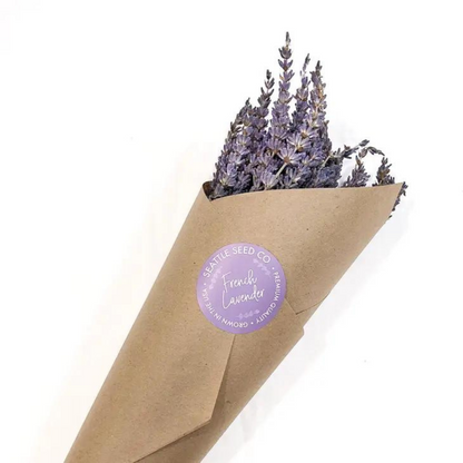 Dried French Lavender Bundles - Sprigbox