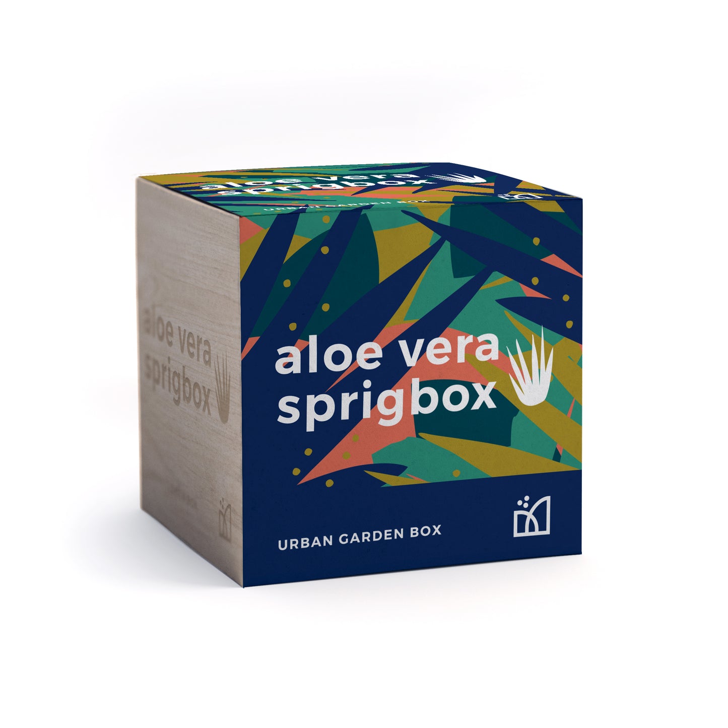 Grow Kit - Aloe Vera - Sprigbox