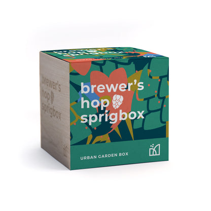 Grow Kit - Brewer's Hop - Sprigbox