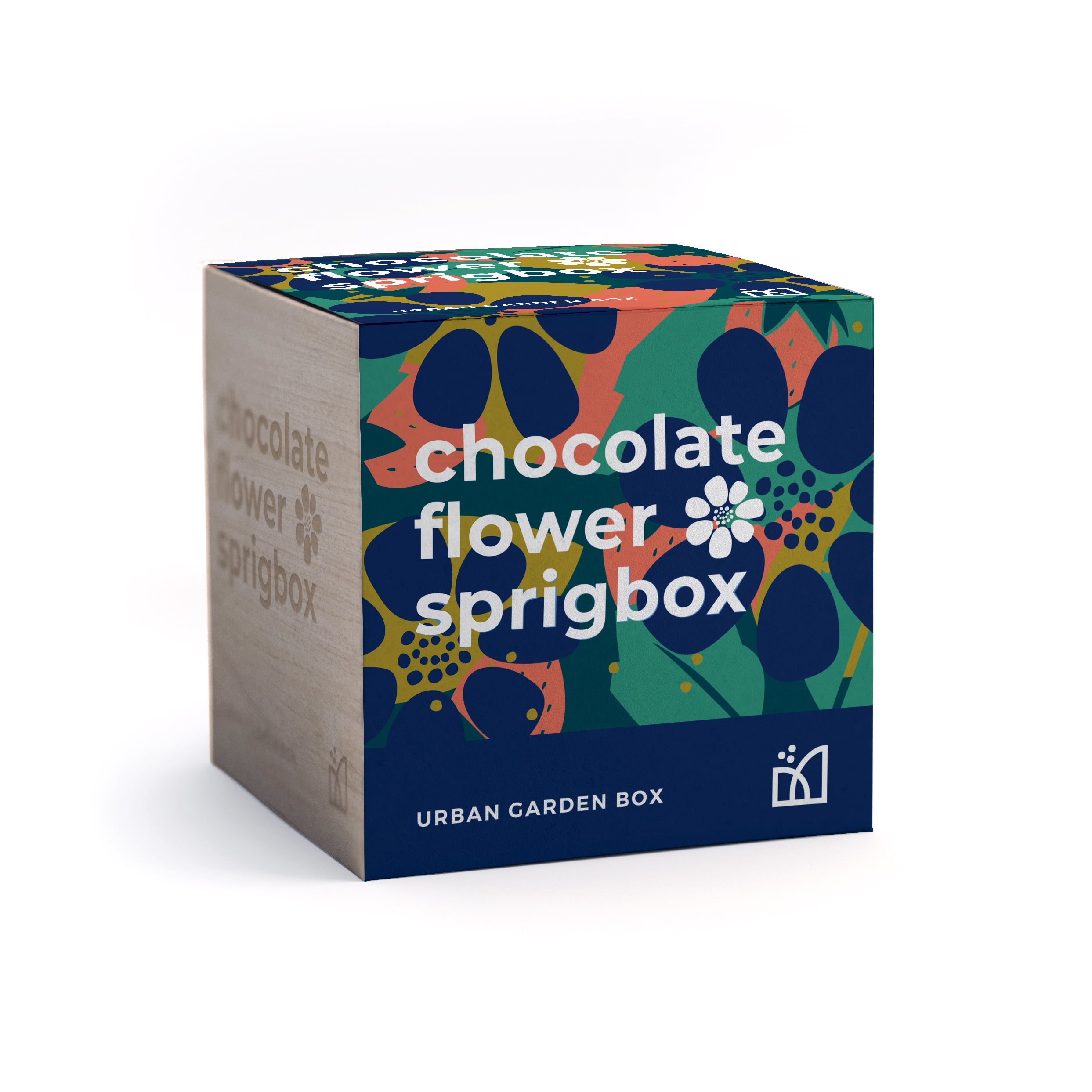 Grow Kit - Chocolate Flower - Sprigbox