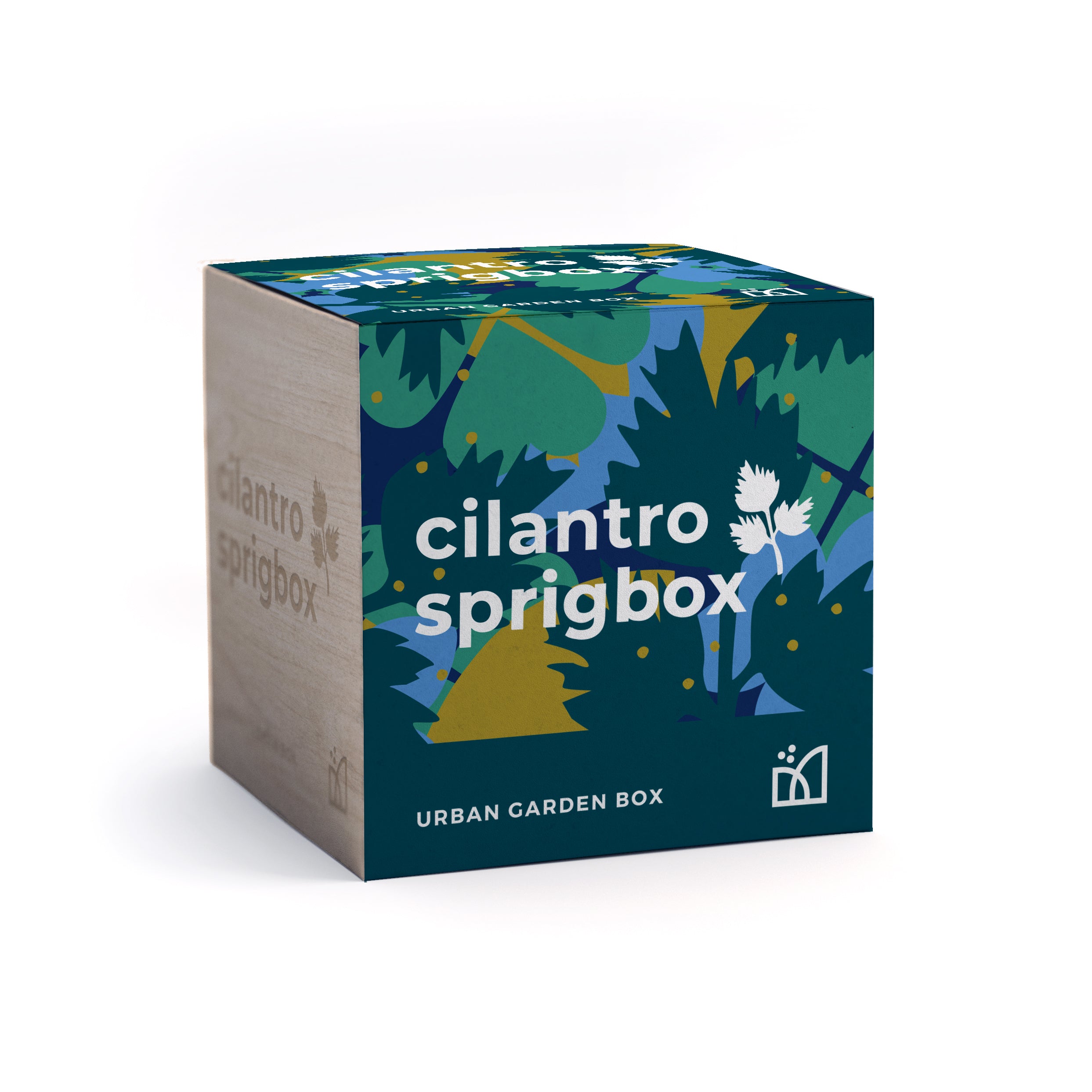 Grow Kit - Cilantro - Sprigbox